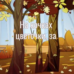 Как мы строили навес