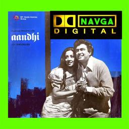 🌷Tere Bina Zindagi -Tere Bina Zindagi