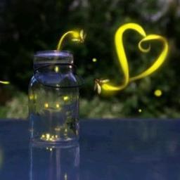 Adaraye wedanawa | ආදරයේ වේදනාව