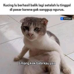 "💛 YANK YANK YANK YANK YANK YANK YANK YANK" by _On7_