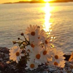 Aklıma Senden Başka Bir şey Gelmiyor !