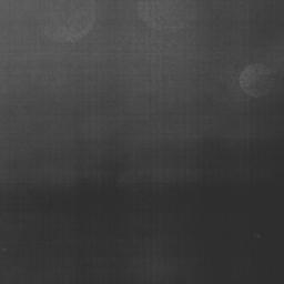 I Will Survive - Jazz