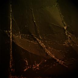 Naan Ungal Veettu HQ தமிழில்