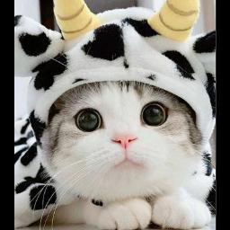 "Salah - New Arrangement" by _TopLess________