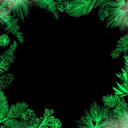 ရည်ရွယ်သူသို့(ဘိုဖြူ)