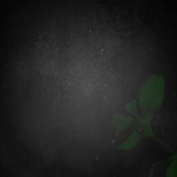 Beyaz Giyme Toz Olur