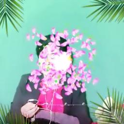 ခြုံလွှာလက်ဆောင်