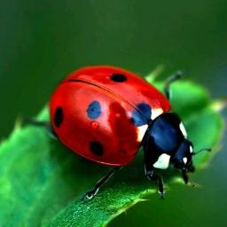 "Tak Sedalam Ini - Tak Ini Tak Ini Tak Ini Tak Ini Tak Ini Tak" by Dewa__Setiawan76