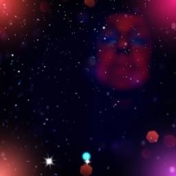 Animaux fragiles (Originale)