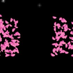 short- Rappadithan pattin Kallolini