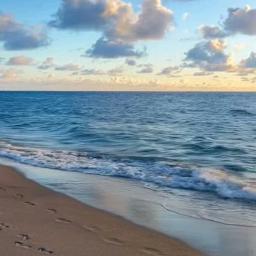 Engengo Sellum / எங்கெங்கோ செல்லும்