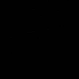 sepi sekuntum mawar merah (original new)