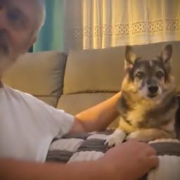 Es wird scho glei dumpa