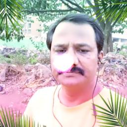 💖Chinna Chinna Kiliye Short💖