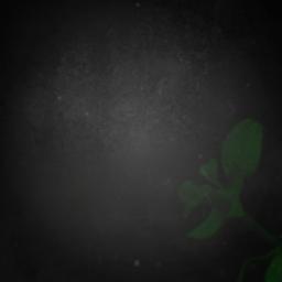 By Your Side - deeh_jucee's version