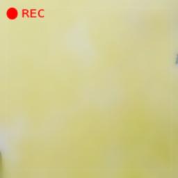 Sebujur Sebujur Sebujur Sebujur Sebujur