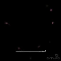 صلى الله على محمد ™ᶻⁱʸᵃᵈ༄