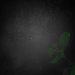 [Full] Tum Dil Ki – Tum Dil Ki - Tum【short】