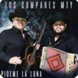 Pideme la luna