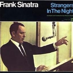 Strangers In The Night