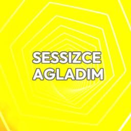 📀 Sessizce Ağladım 📀