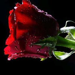 Enna satham intha neram-என்ன சத்தம் இந்த நேரம