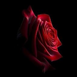 Tere Pyar Ne (Duet Version)