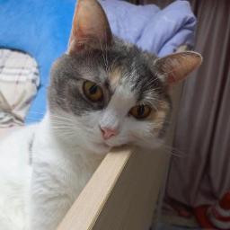 💚AKU TAK BERARTI 💚AKU  TAK BERARTI