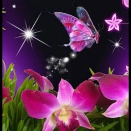 ☘️🪻MAAFKANLAH - MAAFKANLAH MAAFKANLAH MAAFKA