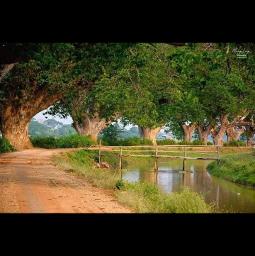 တို့ရွာထဲကအလှူပွဲ