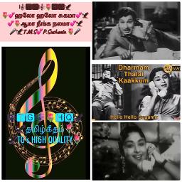 🎼🌷TG🦅🎼 Hello Hello Sugamaa🌷SHQ🦅