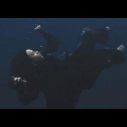 WILDFLOWER (instrumental)