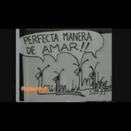 Mi perfecta manera de amar
