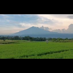 Go Tell It On The Mountain - GO TELL IT ON THE MOUNTAIN