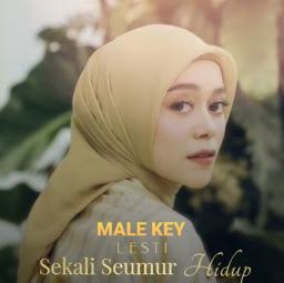 Sekali Seumur Hidup Male Key Song Lyrics and Music by Male Key