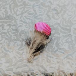 Shiny Happy People ✨