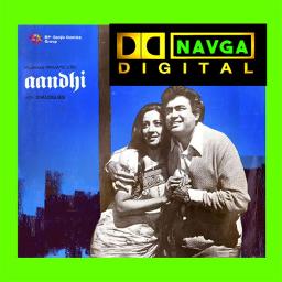 🌷Tere Bina Zindagi -Tere Bina Zindagi