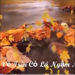 Về Trên Cỏ Lá Ngậm Ngùi 🌴