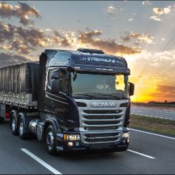 Tema Tapetão Musical