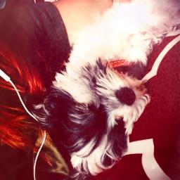 Black Boys on Mopeds