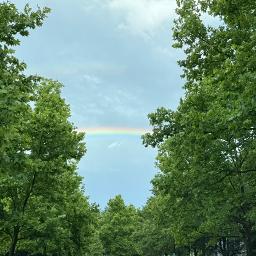 🎤🆗ปาฏิหาริย์