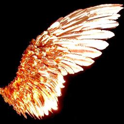 Toast to life ( feat. Holland Greco )