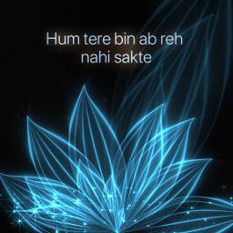 Let Me Love You / Tum Hi Ho (Mashup)