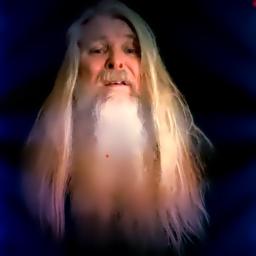 I Should Have Been True