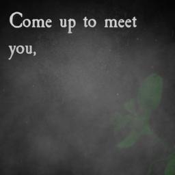 The Scientist - Acoustic