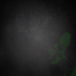 انجيل متى الاصحاح التاسع عشر جديد