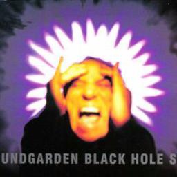 Black Hole Sun