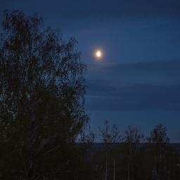 Нимфоманка - piano