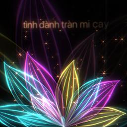 Giọt Nước Mắt Ngà 🕊