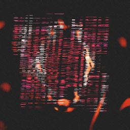 Bad Things/Sweet Dreams (Polka Funk Circus)